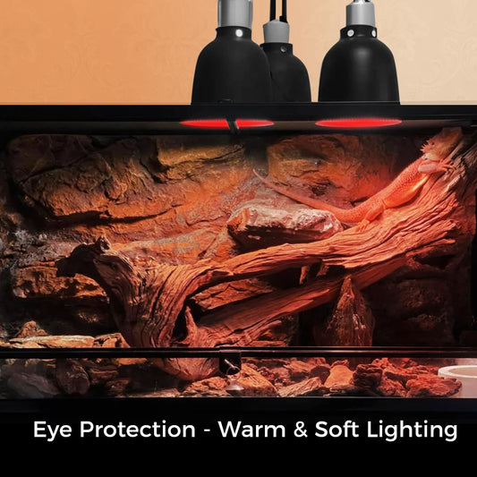 MISDOOD Reptile Heat Lamp Bulb 100W 2PCS, Infrared Heat Emitter Red Heat Lamp for Reptile Amphibian, Infrared Basking Spot Light Bulb