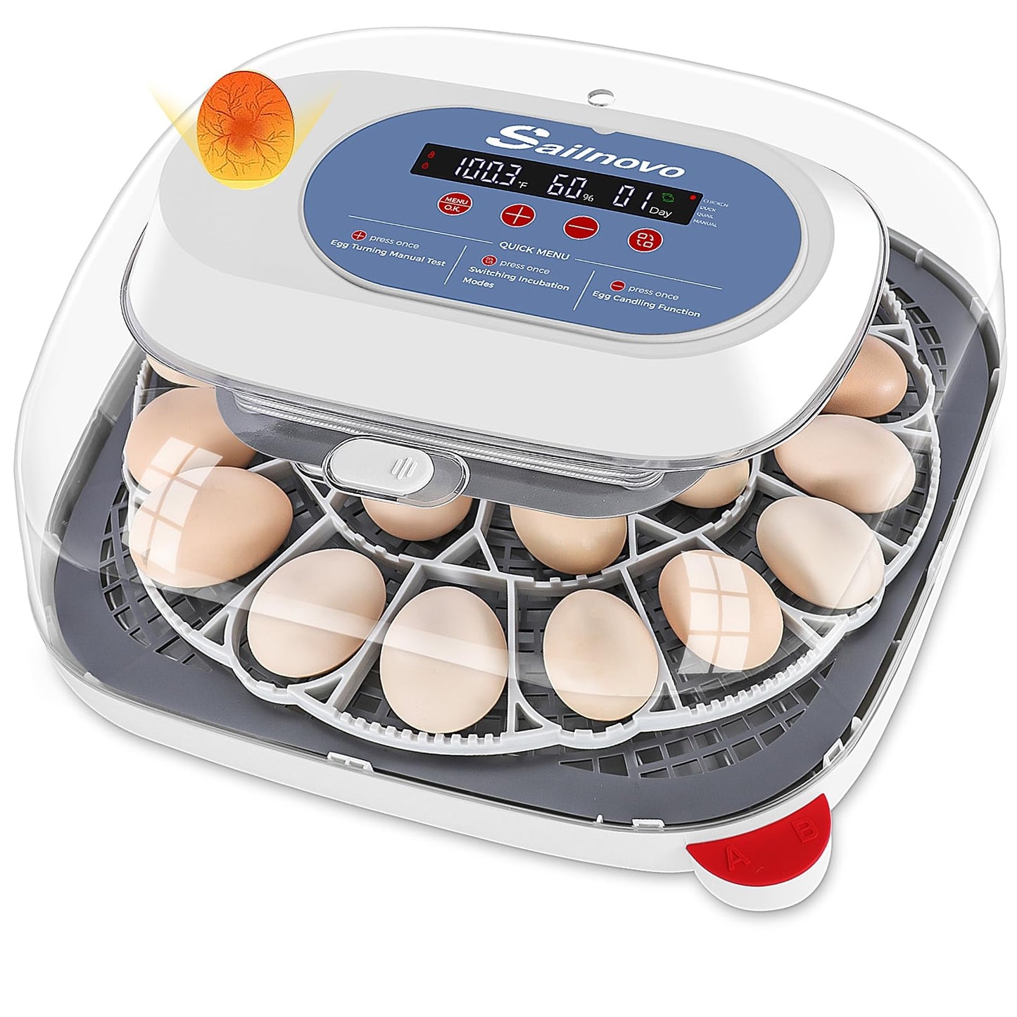 Sailnovo 24 Eggs Incubators for Chicken Eggs with 4 Modes, 360° View Incubator with Automatic Egg Turning and Temperature Control Humidity Display, Digital Incubator for Chicken Quail Duck(Blue)