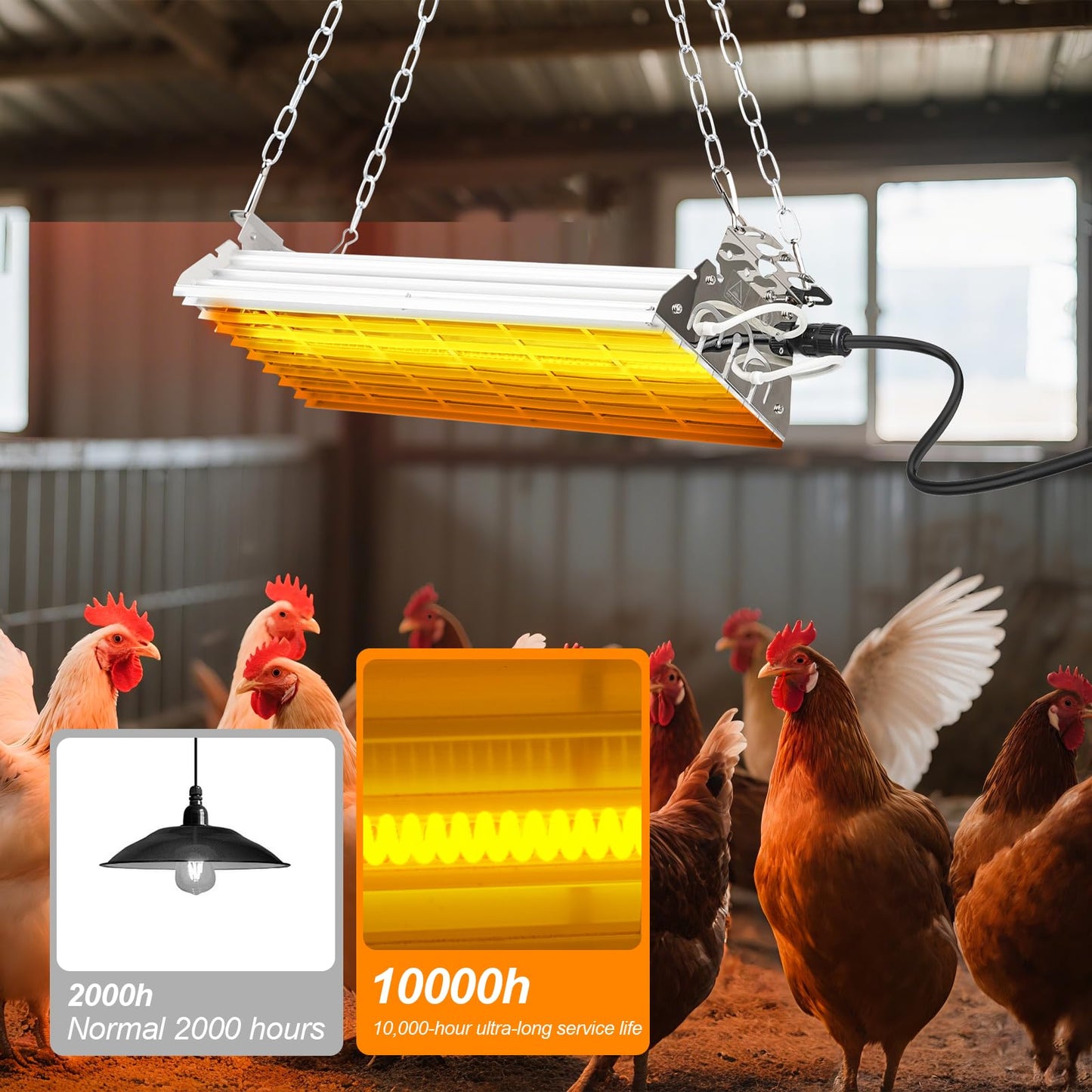 Large Heat Lamp for Chicken Coop, 400 Watts Carbon Fiber Chicken coop Heater, Adjust 2 Mode Temp&Hanging Height, Waterproof,Indoor & Outdoor Heater,For Cow,Sheep,Livestock,size:16.3x5.31x3inch (400W)