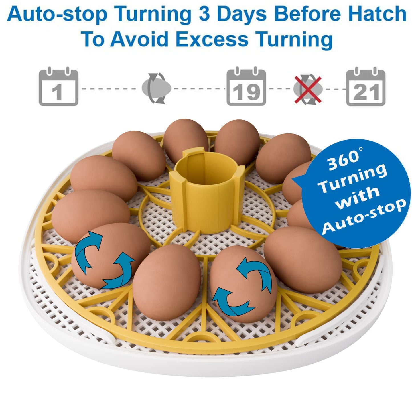 Meuiosd Egg Incubator for Hatching Chicks, 12-24 Egg Incubators with Auto Turning, Automatic Water Top-up, Fahrenheit Display, 360° View Poultry Incubator for Hatching Chicken Duck Quail Parrot