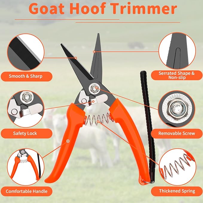 Goat Hoof Trimming Shears, 8Inch Double-Sided File/Goat Hoof Trimmer for Sheep/Storage Bag