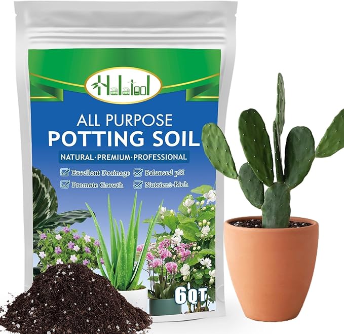 Halatool 6QT Natural Cactus Soil Garden Top Succulent Soil for Houseplants Bonsai Potting Mix Indoor Potting Soil for Aloe Vera Plant Flowers Vegetables & Herbs