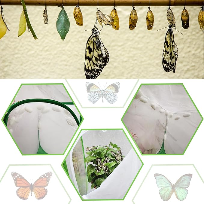 EATAKWARD Mesh Plant Enclosure, Foldable Mesh Cage for Breeding, Grow Tent Plant Cover for Fruit, Vegetables, Pests, Bird and Pest Protection Guard for Flowers and Herbs Pop-Up Cage