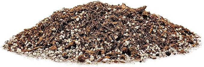 GARDENERA Spearmint Plant Potting Soil - Elevate Your Spearmint Garden with Professional Grade Nutrient-Rich Mix - 3 Quart