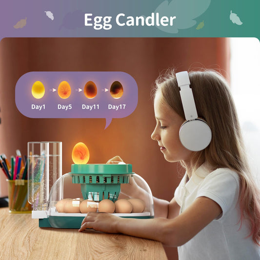 12 Egg Incubator with Automatic Egg Turning and Humidity Control, Egg Incubators for Hatching Eggs, Incubator for Chicken Eggs, Quail Eggs