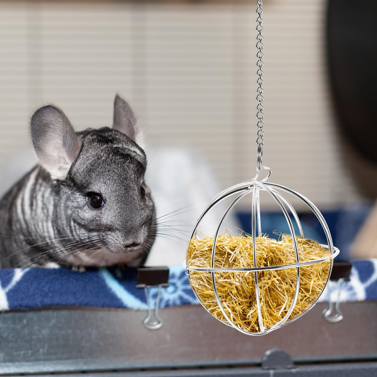 Balacoo Chinchilla Hay Feeder - Hanging Rabbit Hay Feed Dispenser, Stainless Steel Guinea Pig Holder Ball Feeder Toy for Bunny Guinea Pig Hamster Rat
