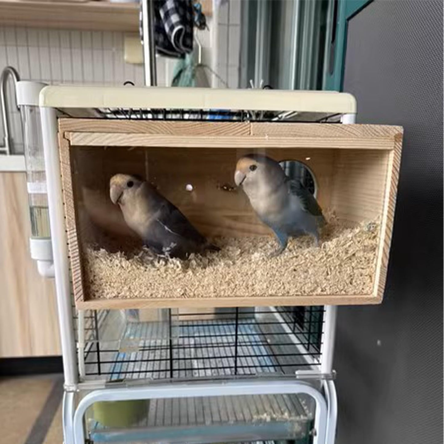 Parakeet Nesting Box, Transparent Parrot Breeding Box with Perch Wood Bird Cage House for Cockatiel Lovebirds Budgie Conure Canary M