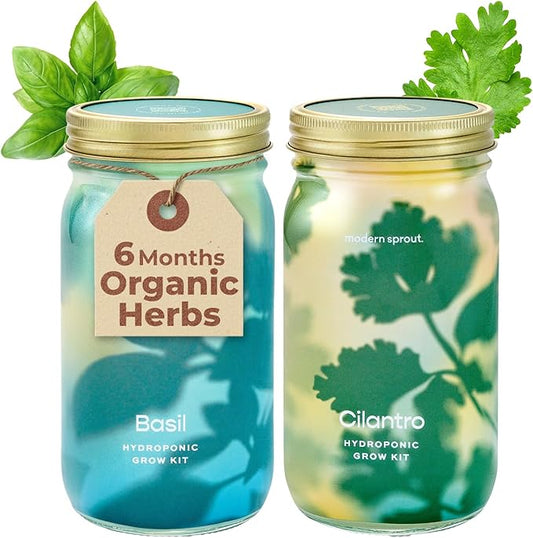 Modern Sprout Mason Garden Jar - Self-Watering Hydroponics Growing System Kit with Organic Herb Seeds - Jar Planter for Indoor Herb Garden - Seed Starter Kit - Home Decor & Gifting - Basil+Cilantro