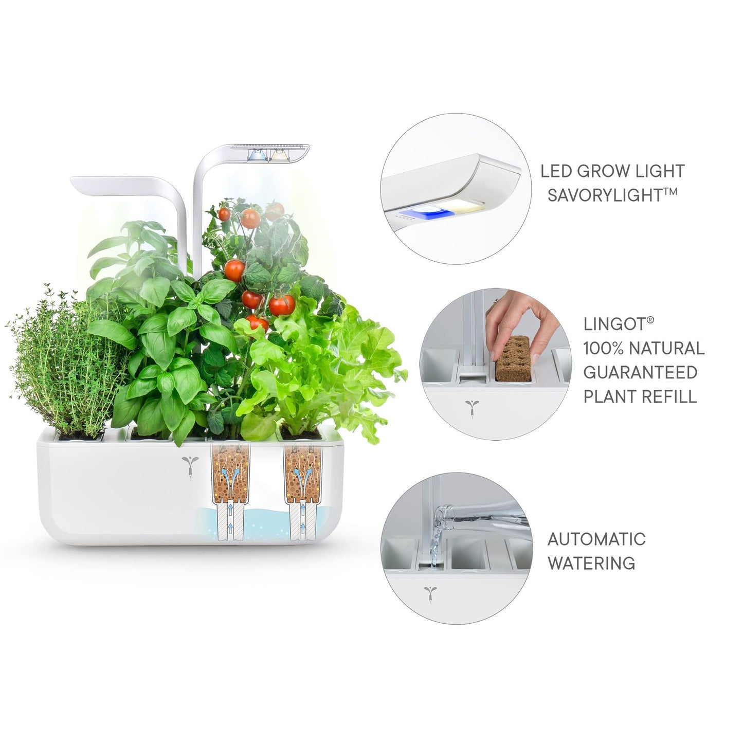Véritable® Classic (White) - Indoor Vegetable Garden Made in France - Smart Autonomous Garden Delivered with 4 Ingots®.