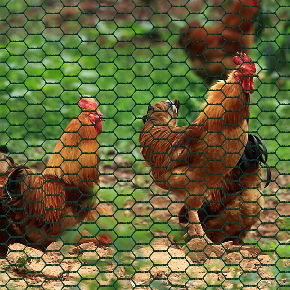 Garden Poultry Green Chicken Wire PVC Coated Hexagonal Wire Mesh Roll Animal Fence 3m x 400mm Garden Netting Fencing for Pet Rabbit Chicken with Gloves & 50Pcs Cable Ties