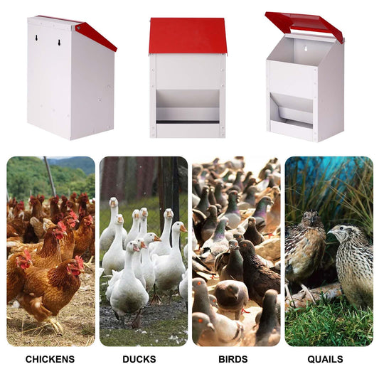 ZHEQOGZH Automatic Metal Chicken Feeder Galvanized Poultry Feeder with Lid Outdoor Wall Mount Chicken Food Dispenser Gravity Fed Chicken Feeder Weatherproof No Waste Quail Duck Feeder (10LBS)