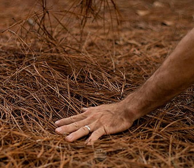 13"x13"x13" Box of Southern Pine Straw - Premium Pine Needle Mulch