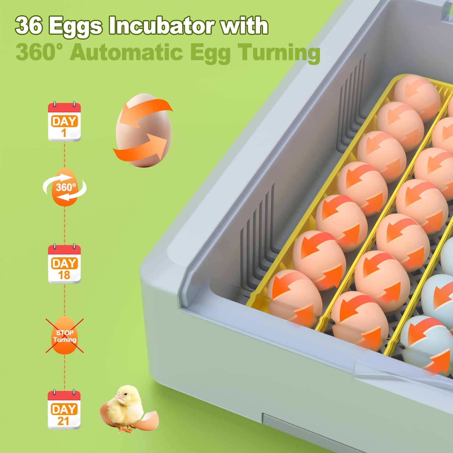 36 Eggs Incubator for Hatching Chicken/Goose/Quail/Duck/Turkey Eggs, 360° View Incubator with Automatic Egg Turning/Humidity Control/Low Humidity Alarm/Adjustable Tray, for Beginner/Farm/Teaching/Home