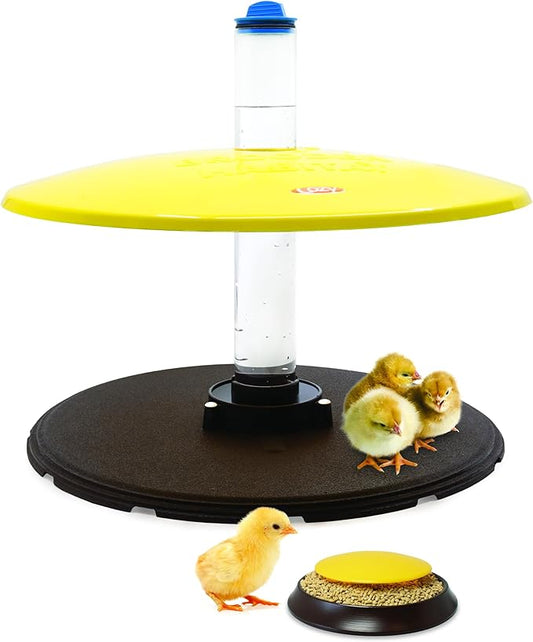 Cozy Chickens Brooder Habitat Plus – Safer Than Heat Lamps, 36 Watt Heated Brooder for Warm Newborn Chicks with Adjustable Dome, Water Tube & Feeding Dish