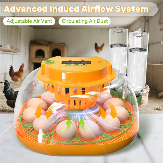 Incubators for Hatching Eggs, 12 Egg Incubator with Automatic Egg Turning and Humidity Control, Egg Candler, Auto Water Replenishment, Air Vent, for Hatching Chicken Duck Quail Goose Eggs