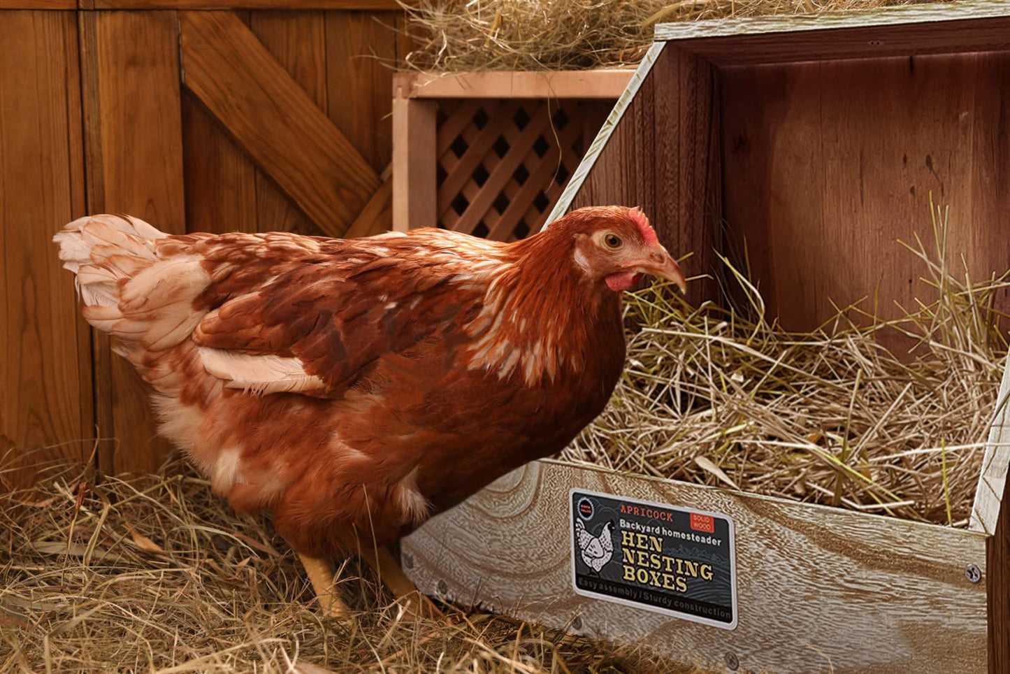 Single Compartment Hens Nesting Box, Chicken Coop Accessories, Wood Nesting Boxes for Up to 5 Hens, Big Duty Laying Nest Box for Duck and Poultry(1 Pack)