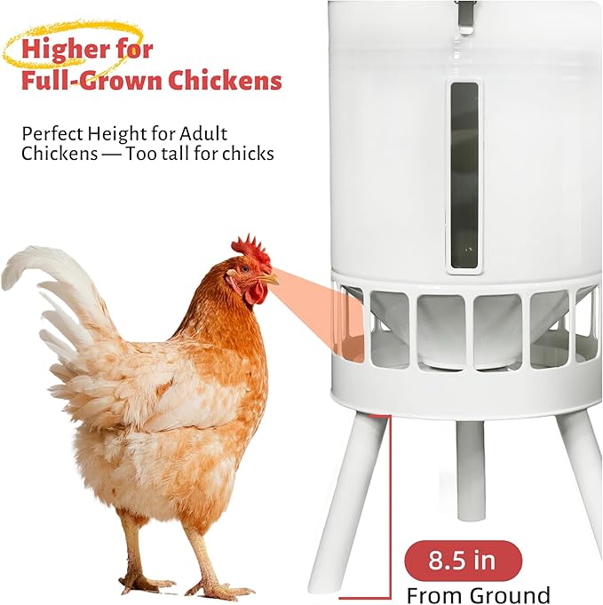 KOL Metal Chicken Feeder No Waste - 50lbs Poultry Feeder with 16 Ports, Powder Coated Rust-Proof Design & Smooth Edges for Safe Feeding (Jade White)