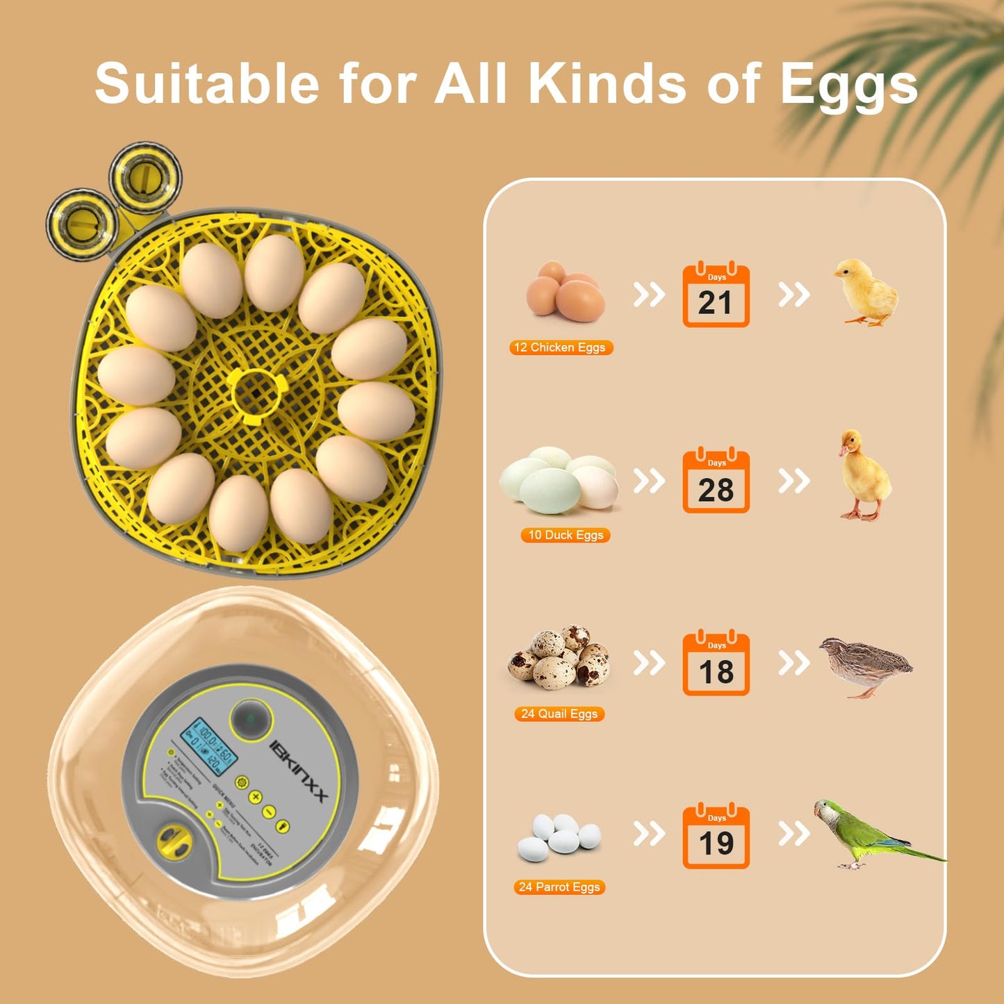 IBKINXX Incubator for Hatching Eggs-12 Egg Capacity, Automatic Egg Turner, Temperature & Humidity Control, 360° Viewing for Chicken, Duck and Quail Eggs