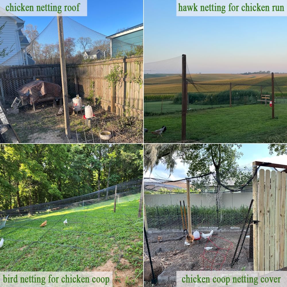 Vocray Bird Netting for Chicken Coop 50x50 Ft, 1" Mesh, Strong Woven Poultry Netting Roof Cover for Chicken Run, Heavy Duty Bird Net for Fruit Trees, Blueberry, Vegetables, Garden Protection
