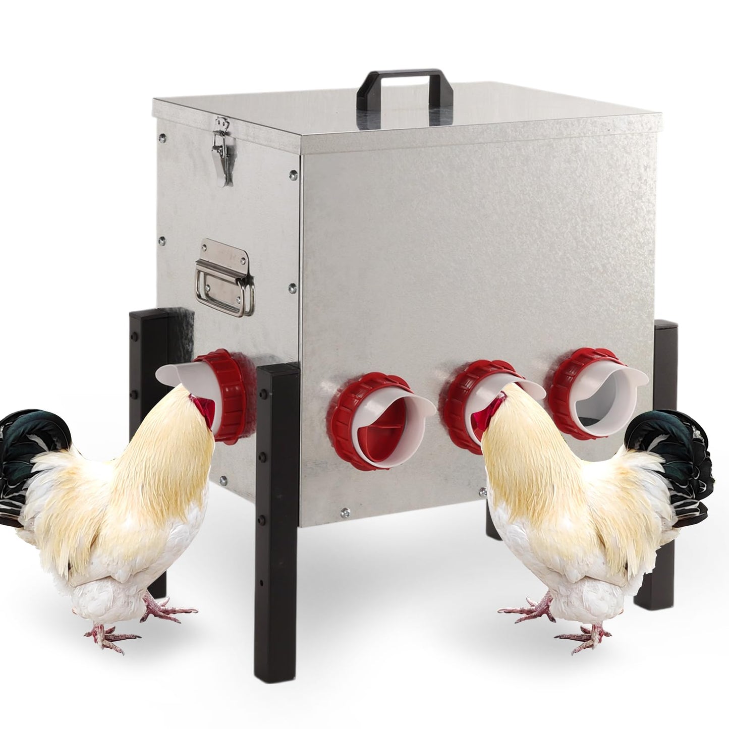 50LB Automatic Chicken Feeder with Cover – Large Capacity Metal Chicken Coop Feeder with 8 Feed Ports, Adjustable Legs Rainproof No Waste Outdoor Poultry Feeder for Hens & Free Range Flocks