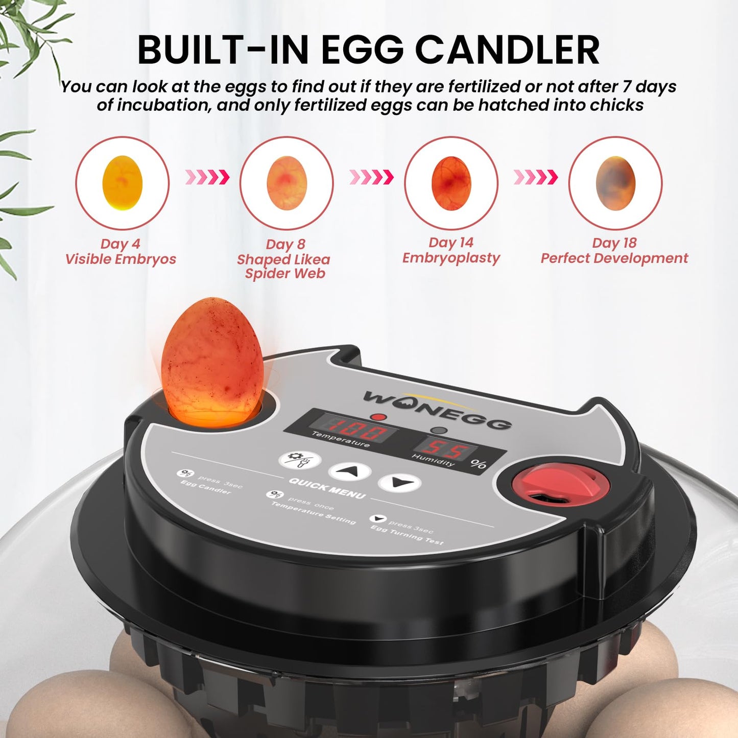IKILEOGY 12 Egg Incubator for Hatching Chicken/Quail/Duck Eggs, Auto Turning, Digital Humidity/Temp Control, LED Candler, Auto Water Refill, 360° View (Smart Sensor)