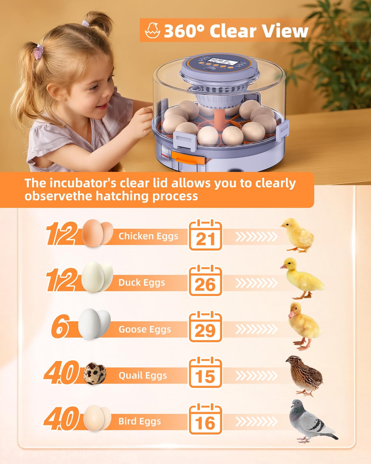 Incubators for Hatching Eggs, 12 Chicken Incubator with Automatic Egg Turning and Humidity Control, Baby Chick Cozy Supplies with Egg Candler for Quail, Chickens, Duck, Goose