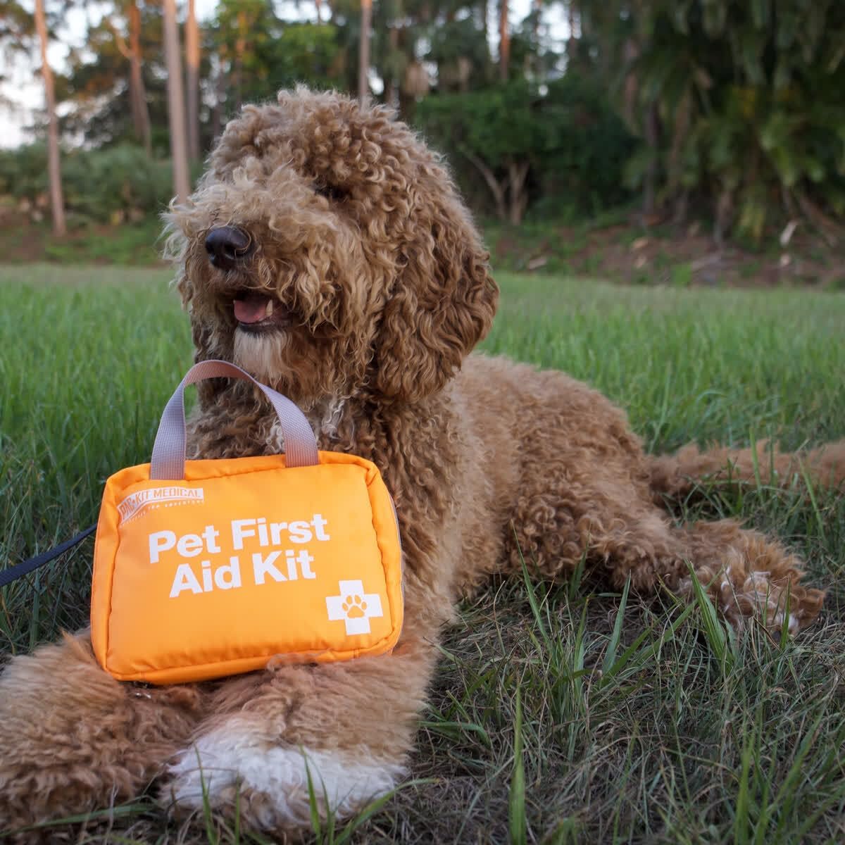 Pac-Kit Pet First Aid Kit for Dogs, Cats, and Other Animals in Soft-Sided Organized Zipper Case, 38 Pieces