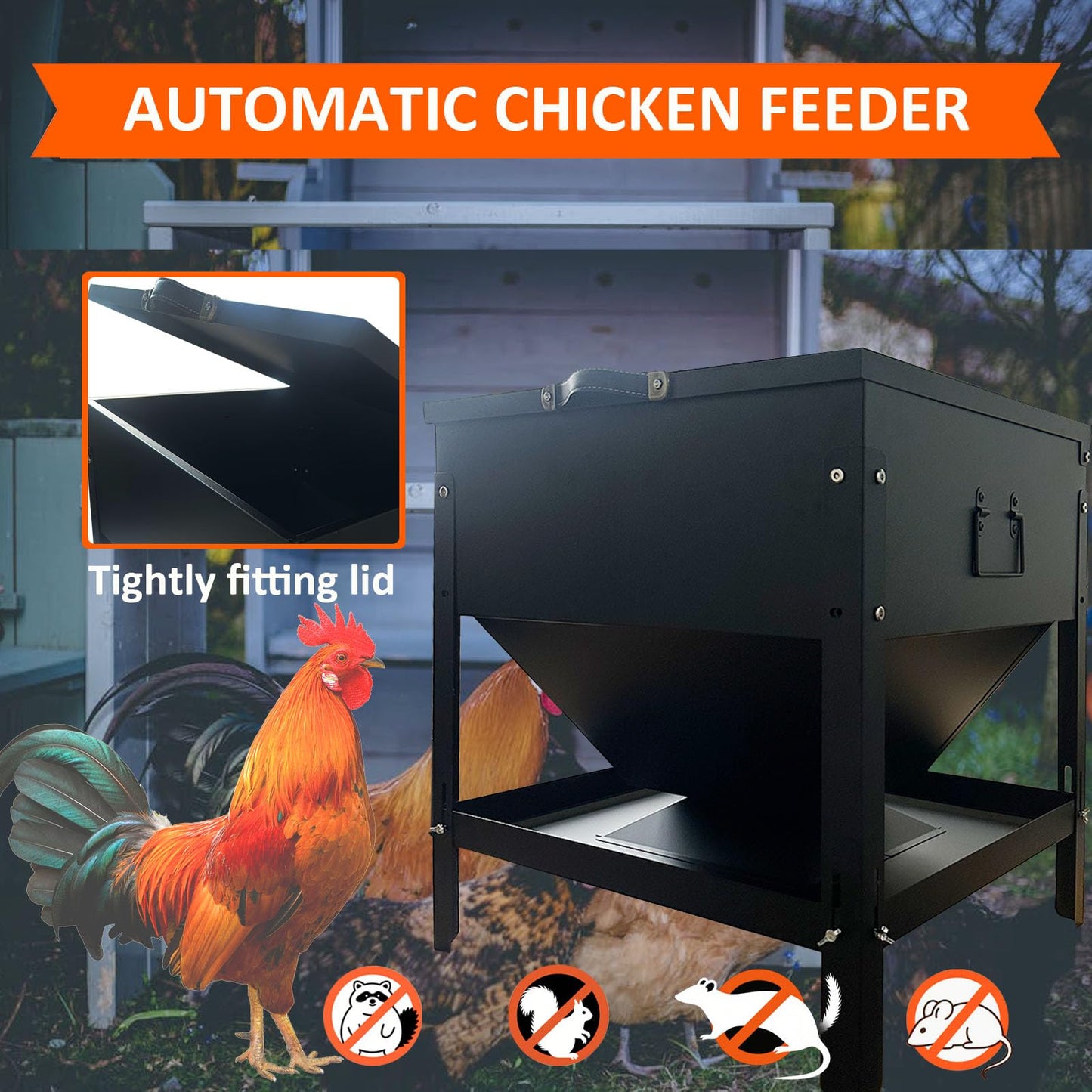 Large Capacity Automatic Chicken Feeder 80lbs Metal Poultry Feeder Set,with Latch & Handle Suitable for Chickens, Ducks, Turkeys（Adjustable Height）