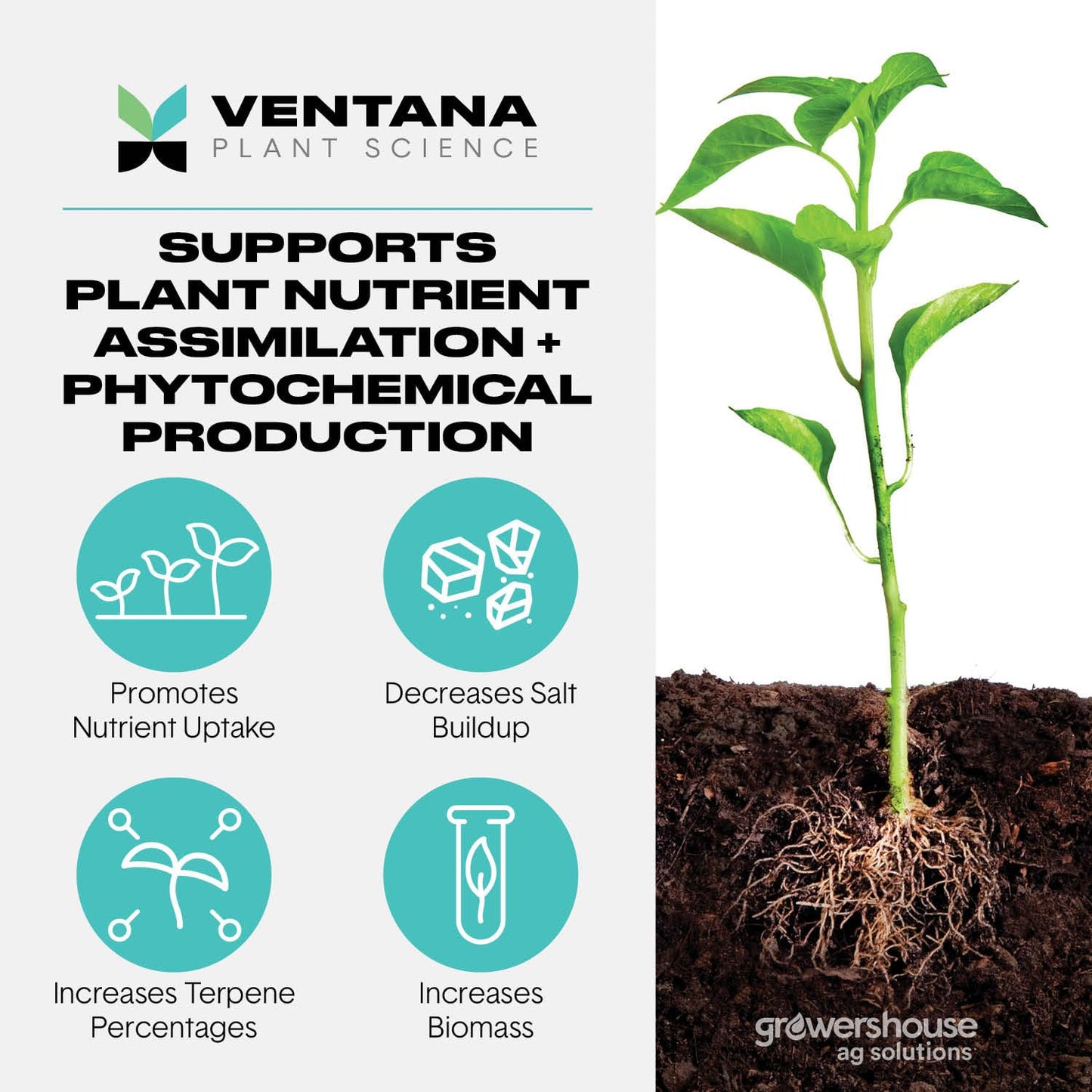 Ventana Plant Science VPS - FlaVUH 4X Concentrate (4-0-4) - 2.5 Gallons
