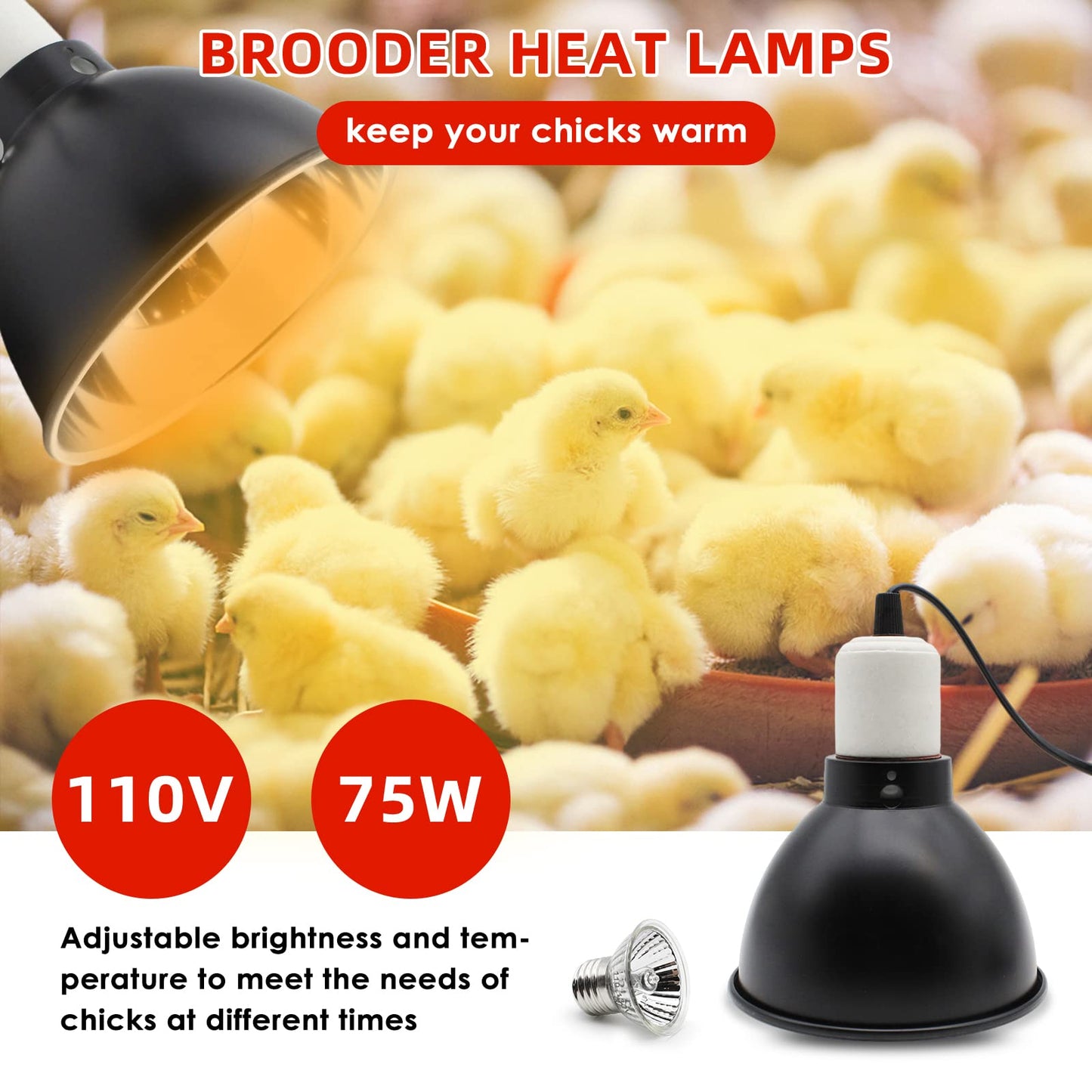GIFANK Chick Feeder and Waterer Kit with 75W Heat Lamp, Chick Perch, Flip Top Poultry Feeder, Baby Chick Starter Kit for Chick Brooder, Baby Chicken Supplies for Baby Chick, Duck and Quail
