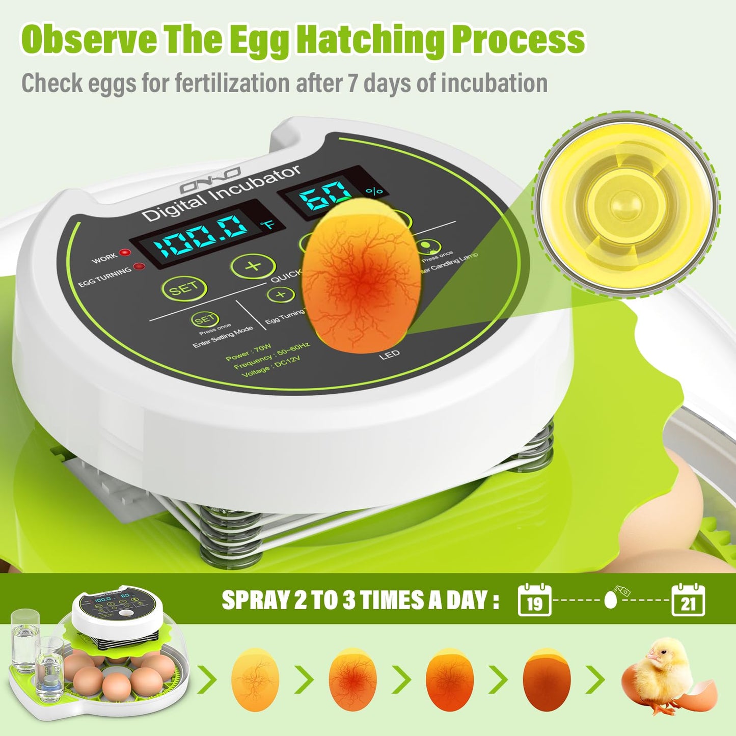 Egg Incubator with Automatic Egg Turning and Humidity Control, Chicken Incubators for Hatching Eggs, Built-in Egg Candle, Holds 8 Eggs, Suitable for Hatching Chickens, Quails, Ducks, Parrots, Geese