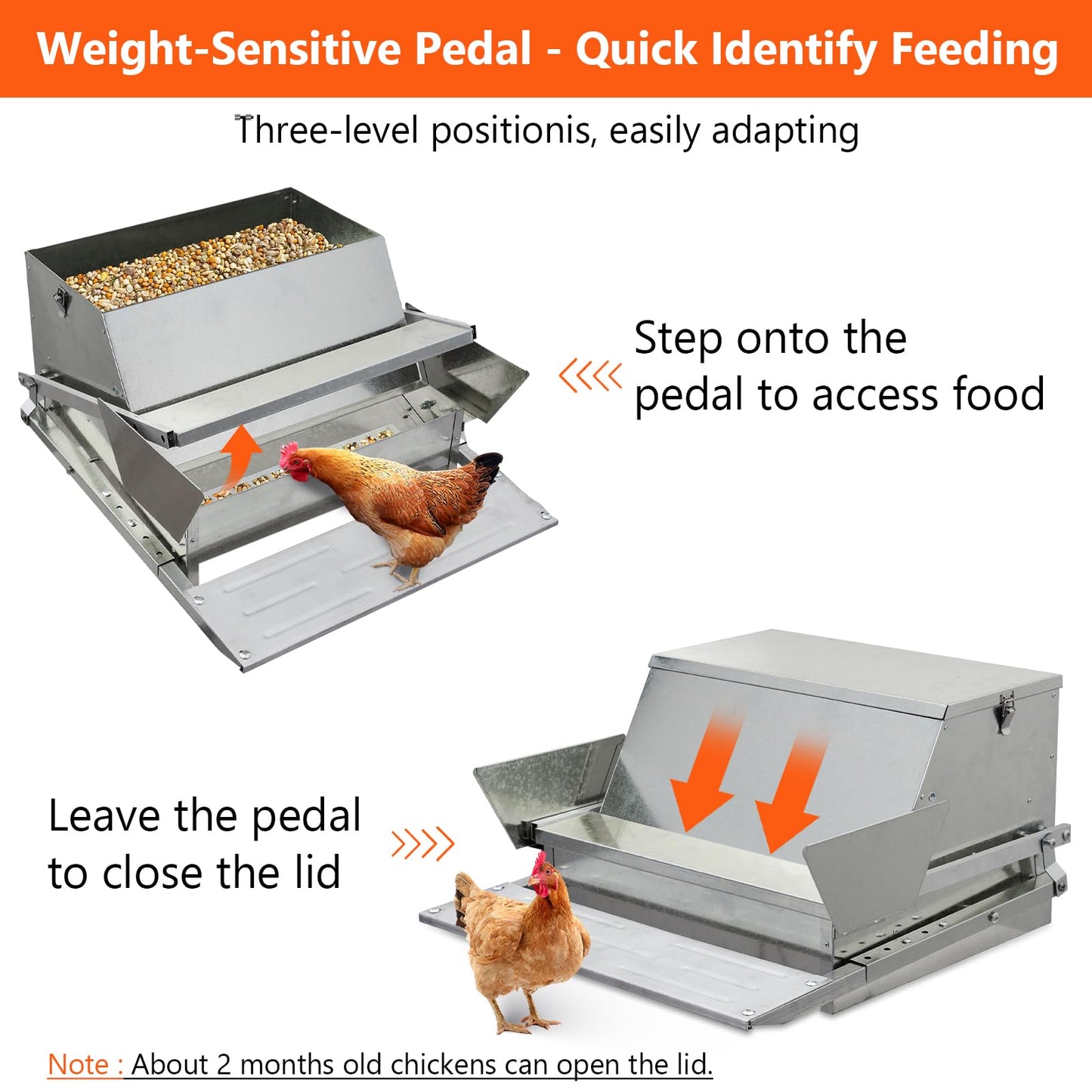 Automatic Chicken Treadle Feeder, 27 LB Large Galvanized Steel Poultry Feeder, Outdoor Use, No Waste, 10 Chickens for 11 Days, Metal Chicken Feeder Kit Suits Duck, Bantams, Pheasants