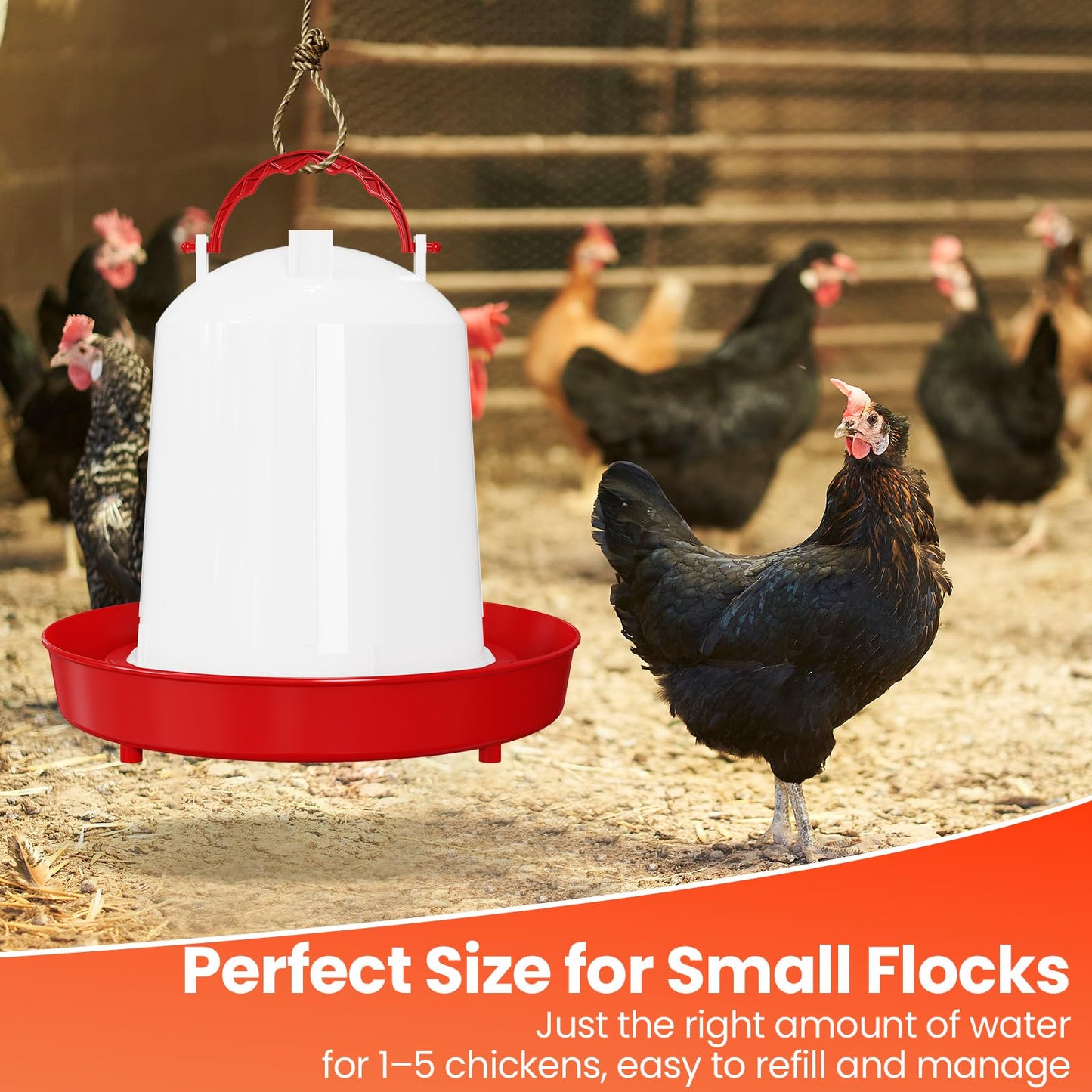 Nexum Heated Chicken Waterer – Durable Winter Poultry Water Dispenser with Handle, Food-Grade Plastic, Easy to Refill & Clean, Keeps Water from Freezing, for Chickens, Ducks & Small Flocks
