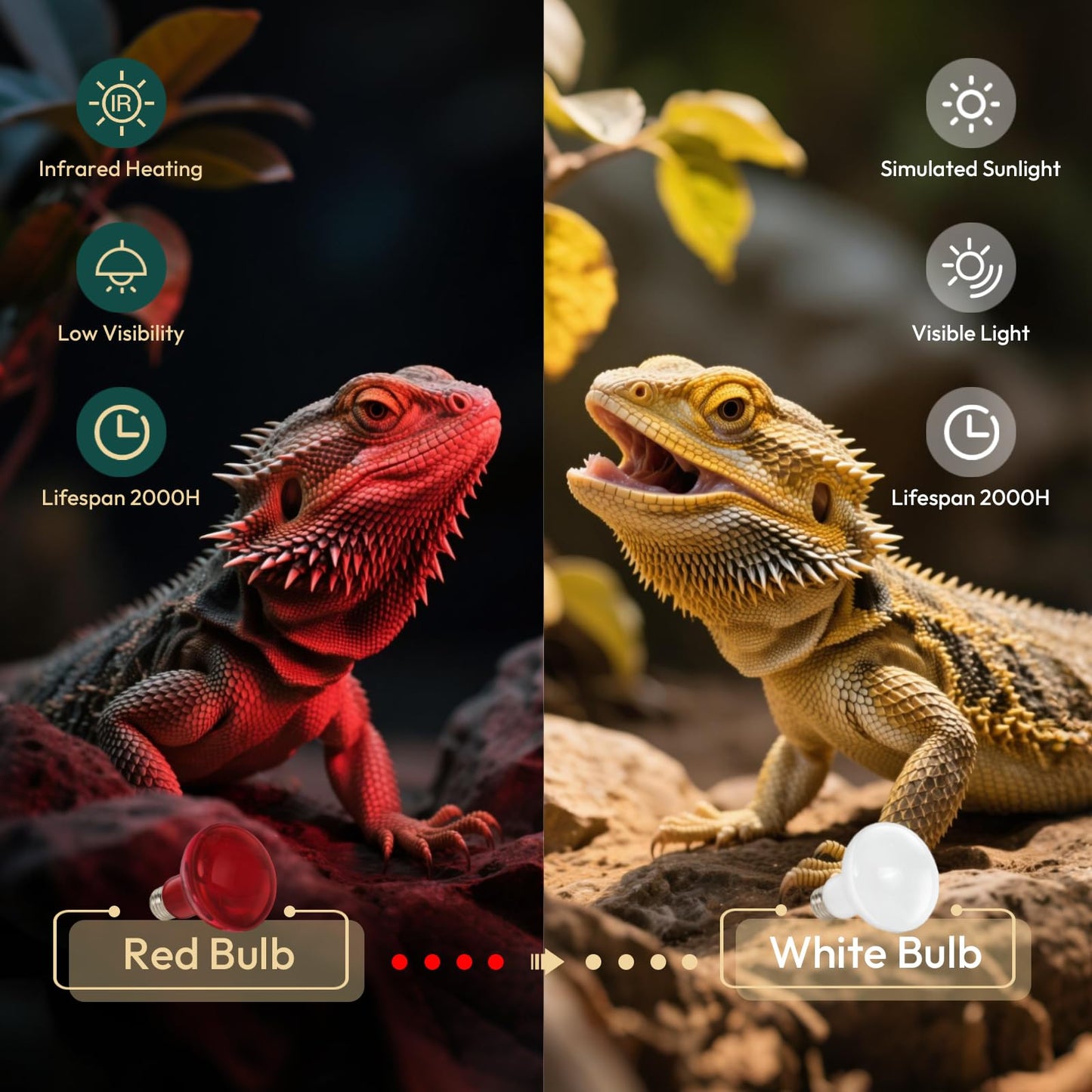 ALAMPEVER 2 Pack Red Heat Lamp Bulb, 75 Watt Infrared Light Bulb for Bearded Dragon, E26 Base, Durable Reptile Heat Bulb for Amphibian, Lizard, Tortoise, Gecko