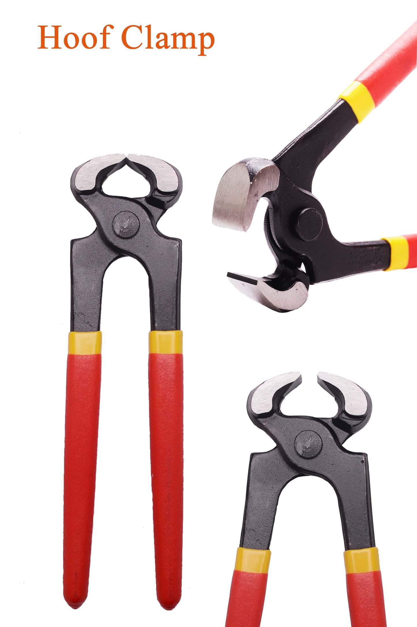 8 inch Farrier Tool Kits （7 Piece） Mini Rasp Hoof File Goat Pig Equine Metal Shears Professional Farriers Hoof Nipper Cutter Handle Knife