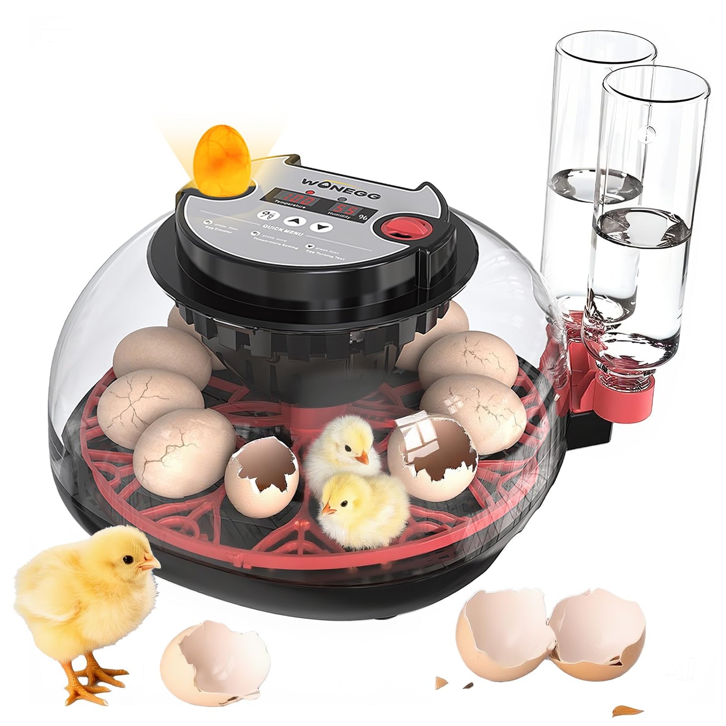 ZPZ 12 Egg Incubators for Hatching Eggs, Auto Turning, Humidity & Temperature Display, LED Egg Candler, 360°View, Incubators for Chicken Duck Quail Eggs, Energy-Efficient for Home/Farm/Classroom
