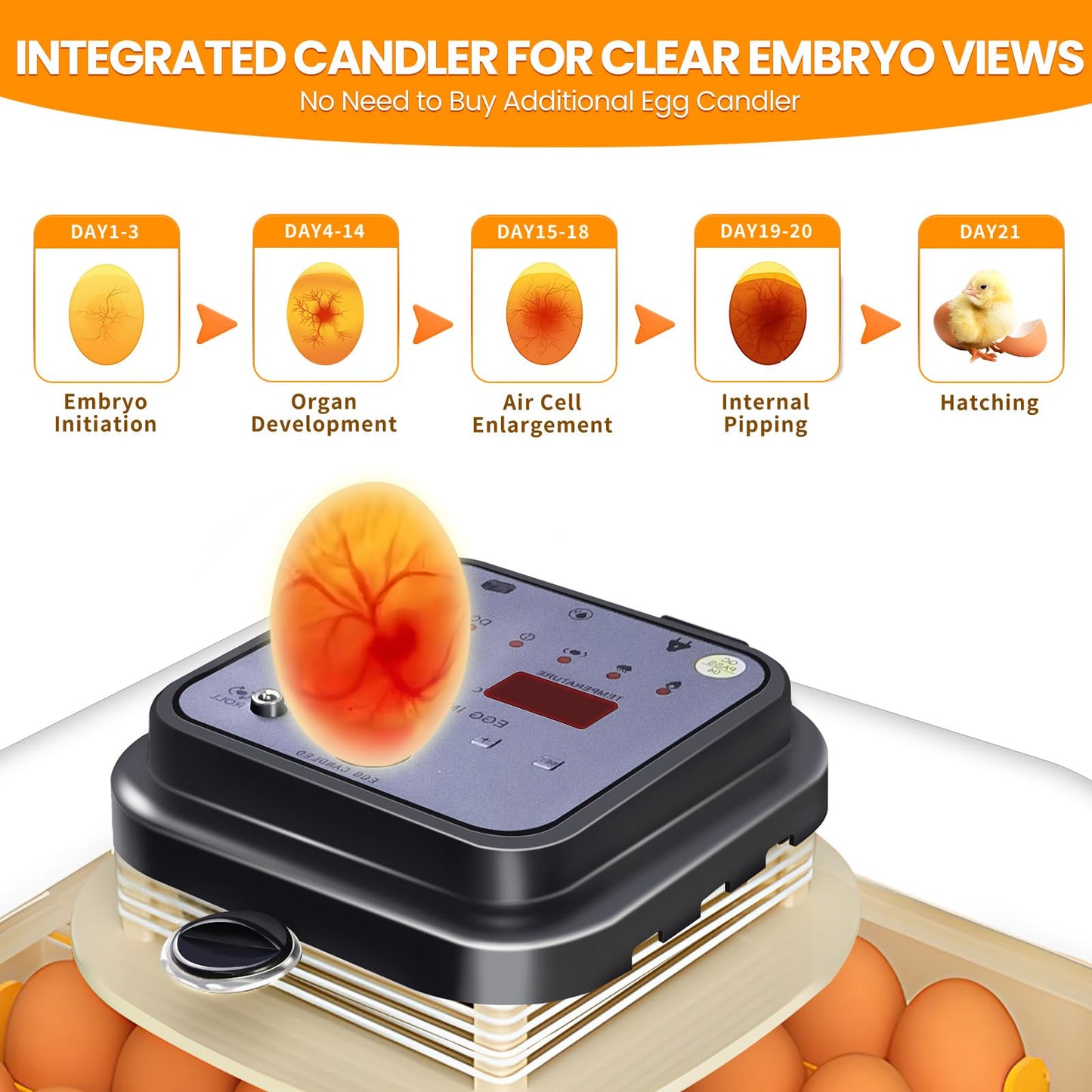 Brivouen 30 Egg Incubator with Humidity Display, Egg Candler, Automatic Egg Turner, for Hatching Chickens