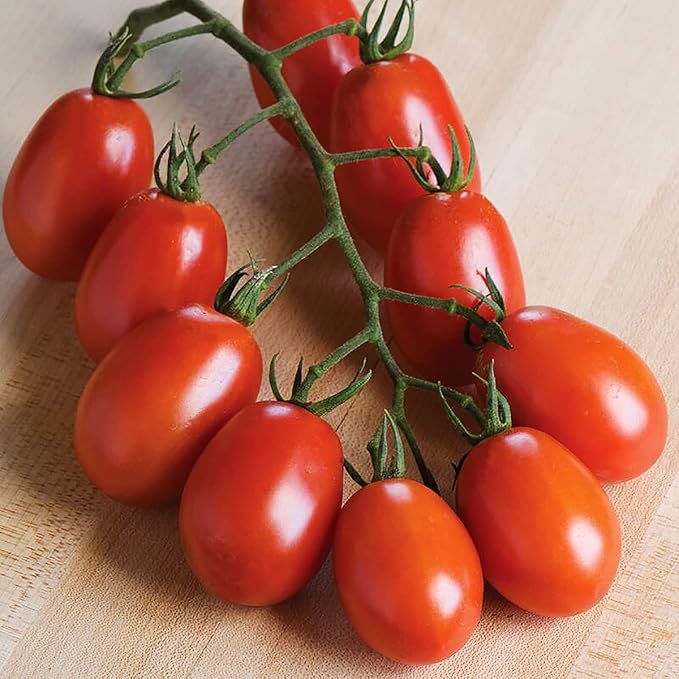 Verona Tomato Seeds - Rare Hybrid of Plum and Roma Tomatoes - 10 Seeds - Delicious Sweet Snack! Marde Ross & Company®