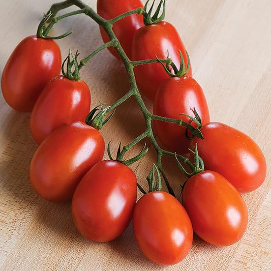 Verona Tomato Seeds - Rare Hybrid of Plum and Roma Tomatoes - 10 Seeds - Delicious Sweet Snack! Marde Ross & Company®