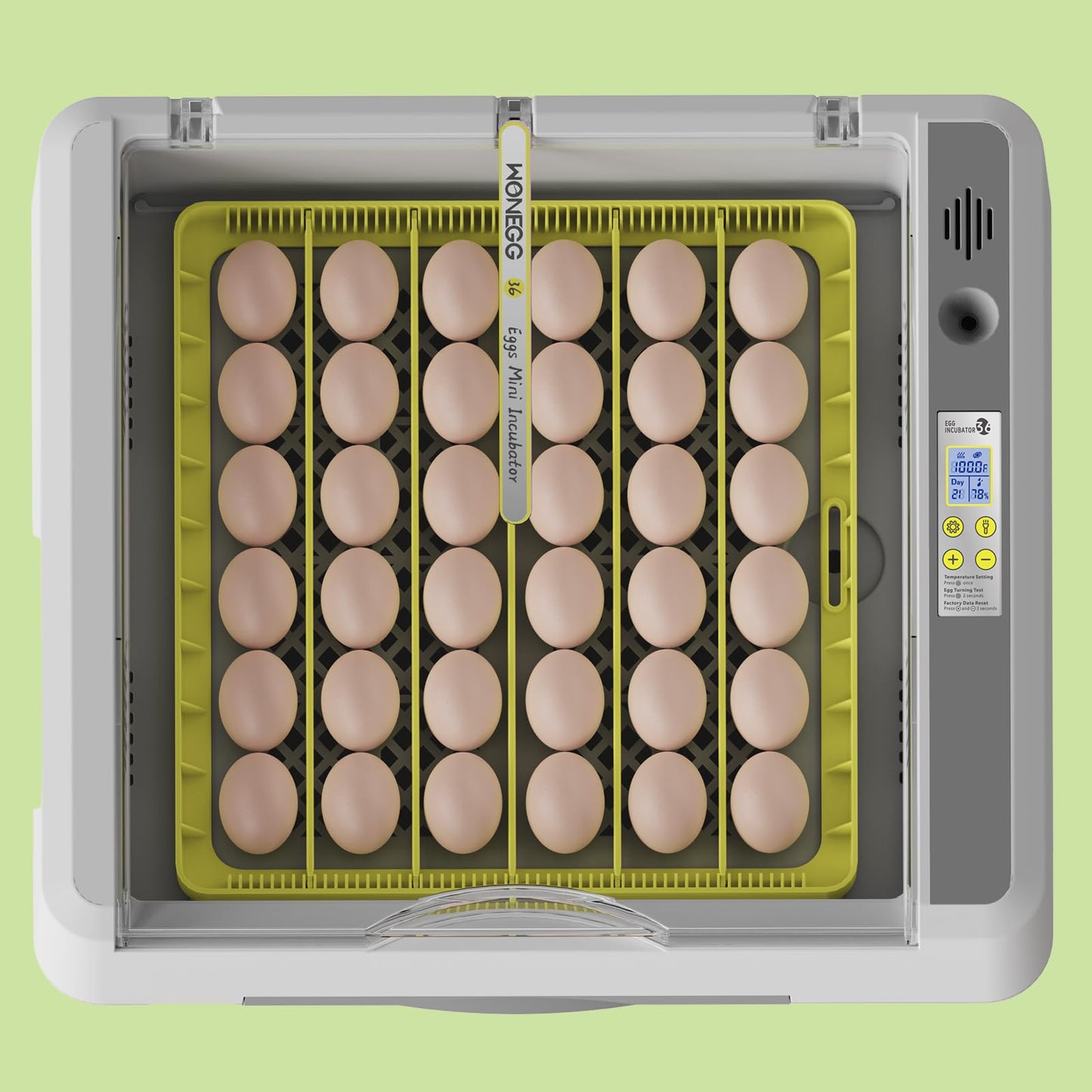 36 Eggs Incubator for Hatching Chicken/Goose/Quail/Duck/Turkey Eggs, 360° View Incubator with Automatic Egg Turning/Humidity Control/Low Humidity Alarm/Adjustable Tray, for Beginner/Farm/Teaching/Home