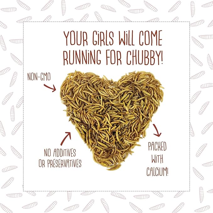 Chubby Dried Black Soldier Fly Larvae for Chickens 5lb - High Calcium Treats for Laying Hens, Ducks, Quails, Turkeys, Wild Birds - 100% Natural Non-GMO Bulk Chicken Feed, Nutrient-Rich, No Additives