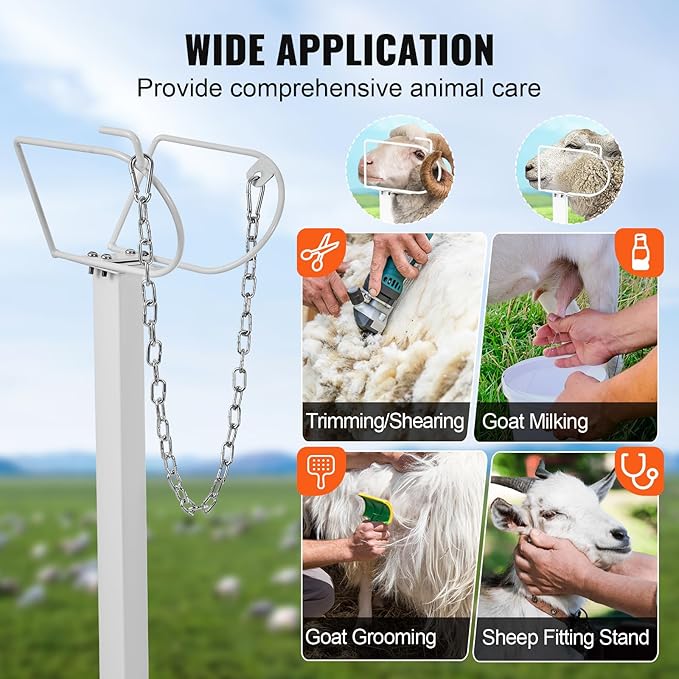 VEVOR Goat Milking Stand - 47x23 inch Metal Livestock Shearing Stand, Adjustable Height 21" to 33", with Headpiece and Nose Loop, 500lbs Capacity, Perfect for Sheep and Goats, White