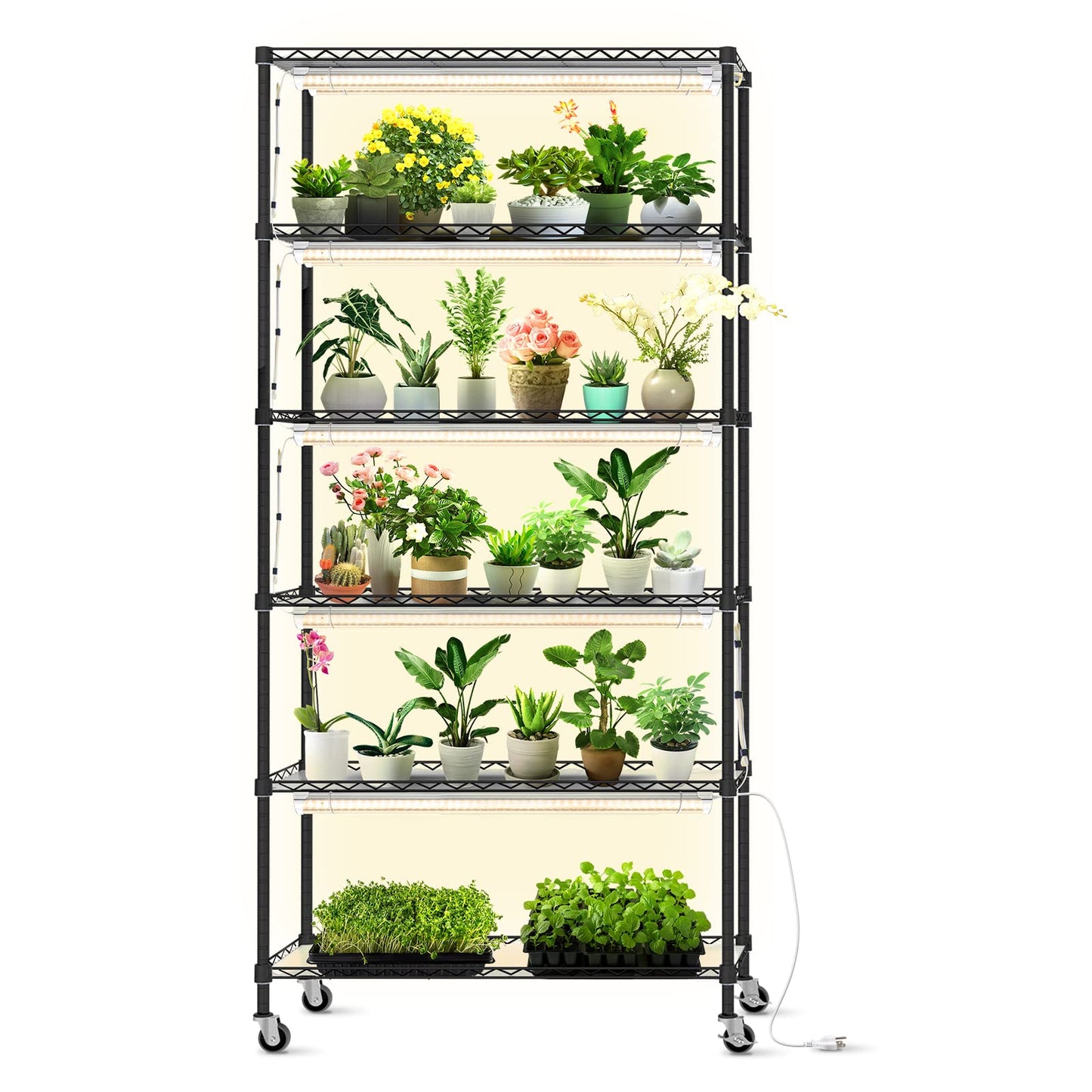 Bstrip DIY Plant Shelf with Grow Lights, Grow Light Shelf with Adjustable Rack and Wheels, Plant Stand, 8-Pack 192W T8 3000K Full Spectrum Grow Lights for Seed Starting,Seed Tray(29.5L x 13.8W x70.9H)