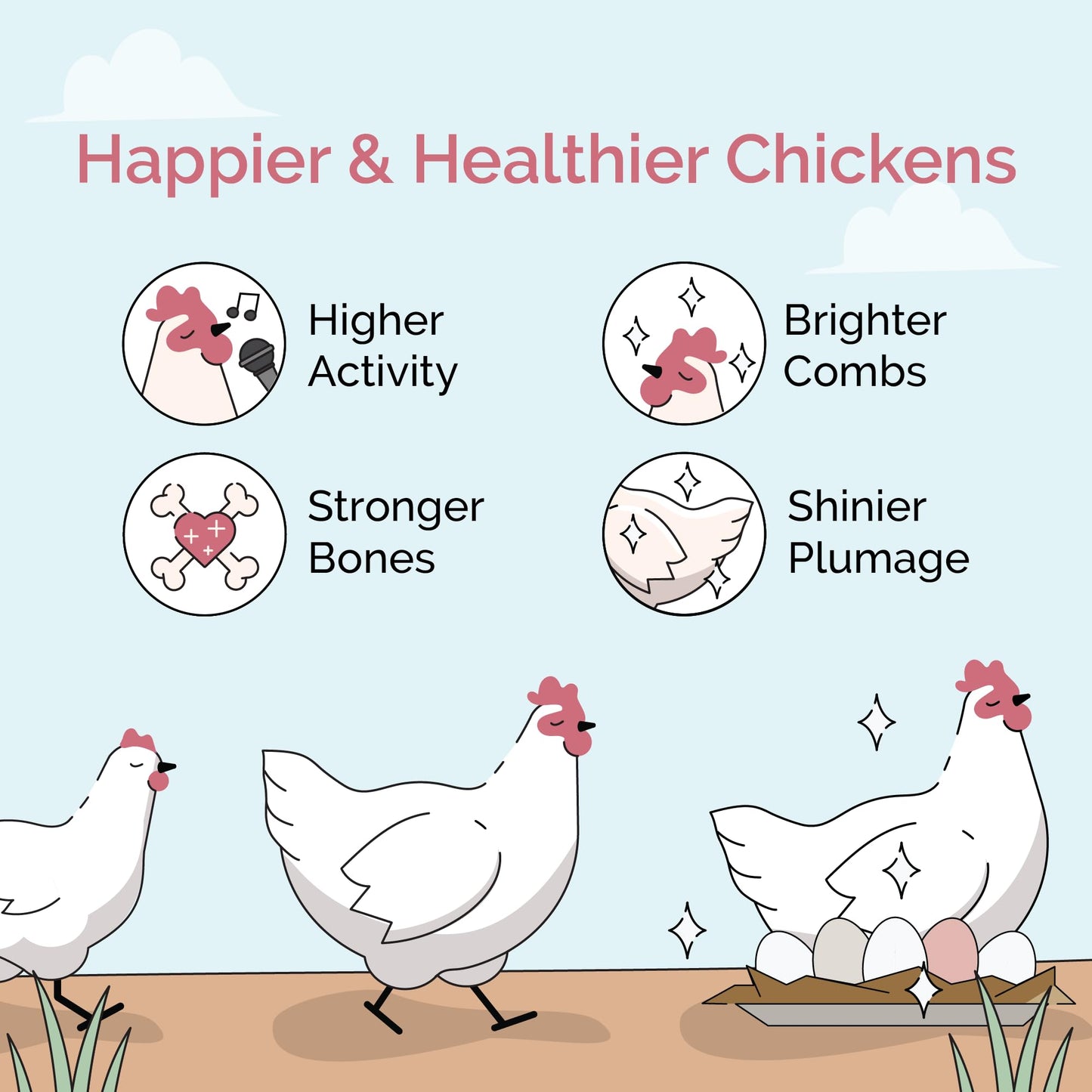 Mile Four Chicken Grit for Layer & Grower Chickens Age 8-20+ Weeks - 100% Natural Mineral Chicken Grit Quartzite, Poultry Grit, USA Mined, 4 lbs