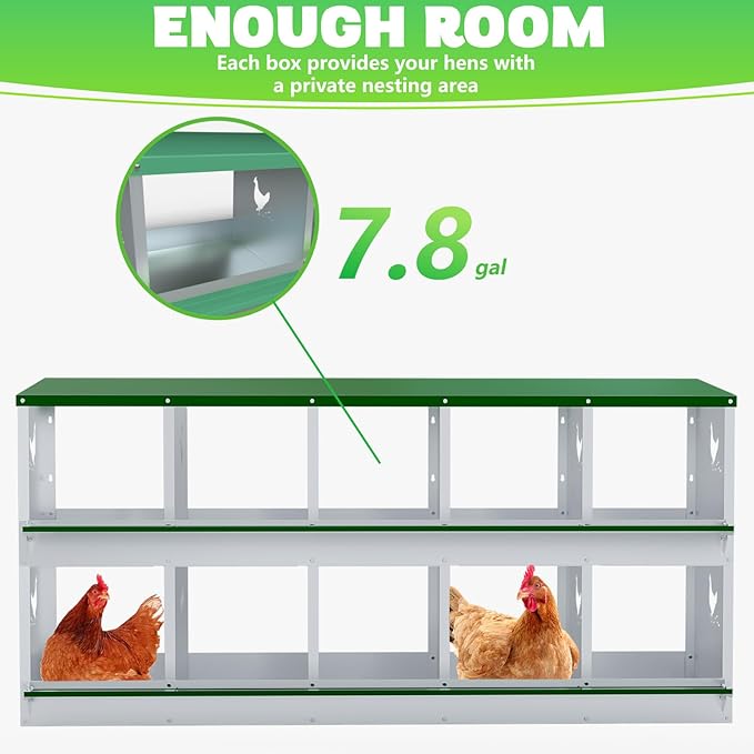 Chicken Nesting Boxes, 10 Hole Nesting Box for Laying Eggs, Heavy Duty Metal Nest Boxes for Chicken and Poultry to Collect Eggs, Chicken Laying Boxes Hens Chicken Coop Box