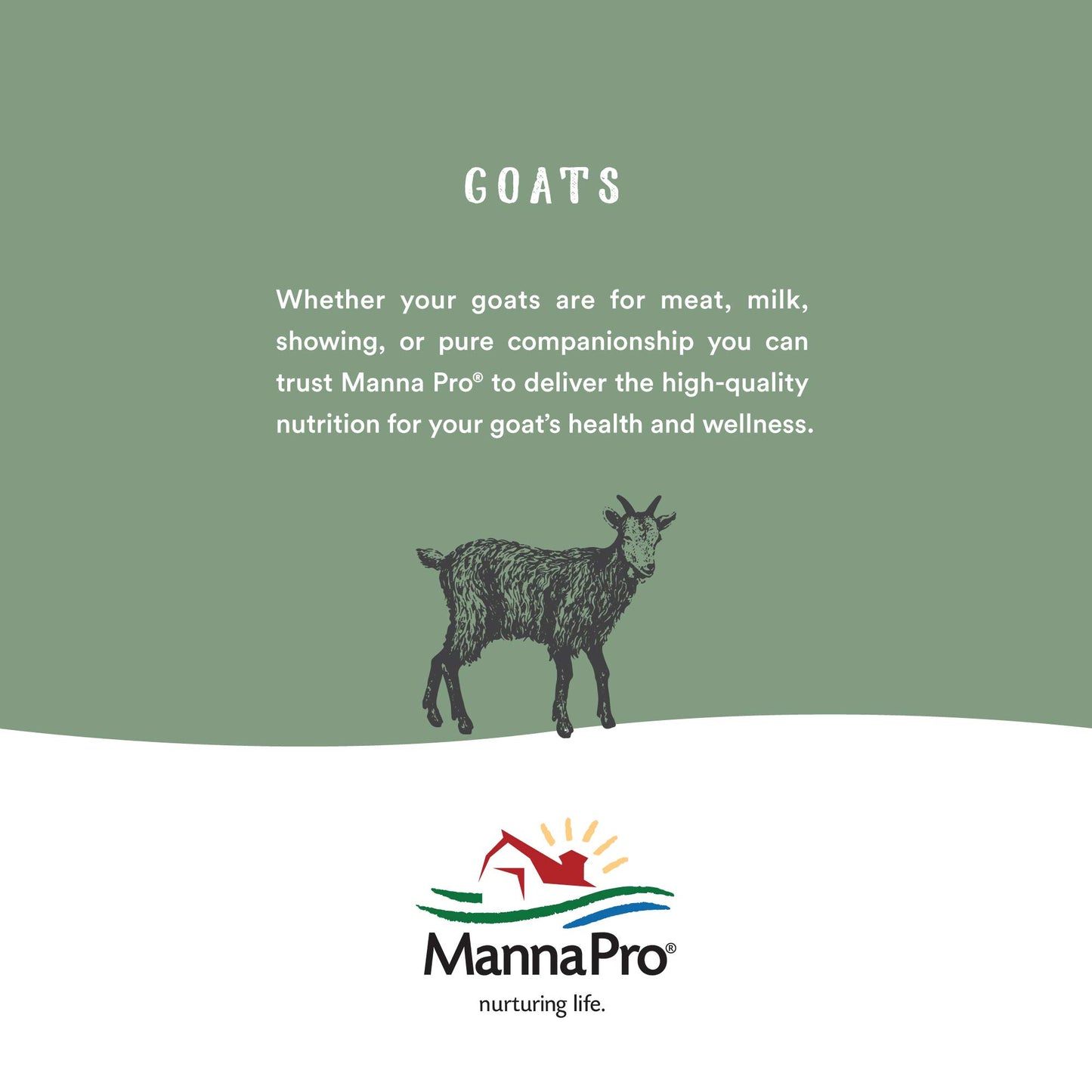 Manna Pro Bounce Back, 4 oz