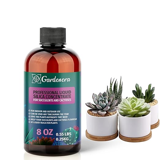 𝐏𝐑𝐄𝐌𝐈𝐔𝐌 Liquid Silica Plant Supplement - 8oz (250mL) - Succulents and Cactuses Bioavailable Silica Fertilizer – Ideal for Hydroponics & Soil – Healthier Plants with Strong Stalks (Concentrate)