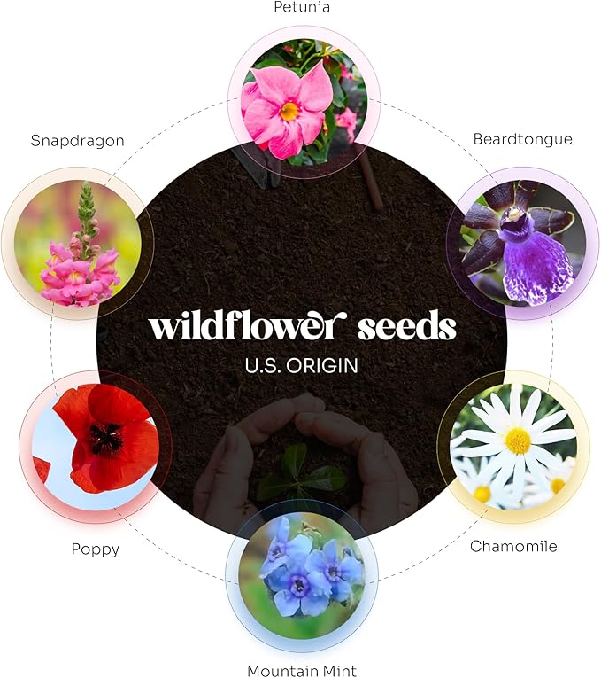 48pcs Plantable Seed Paper – 24 Heart & 24 Butterfly Embedded with Wildflower Seeds, Unique Gift for Mothers, Garden Lovers, Bridal Shower, Wedding, Birthday, & other Milestone Celebrations
