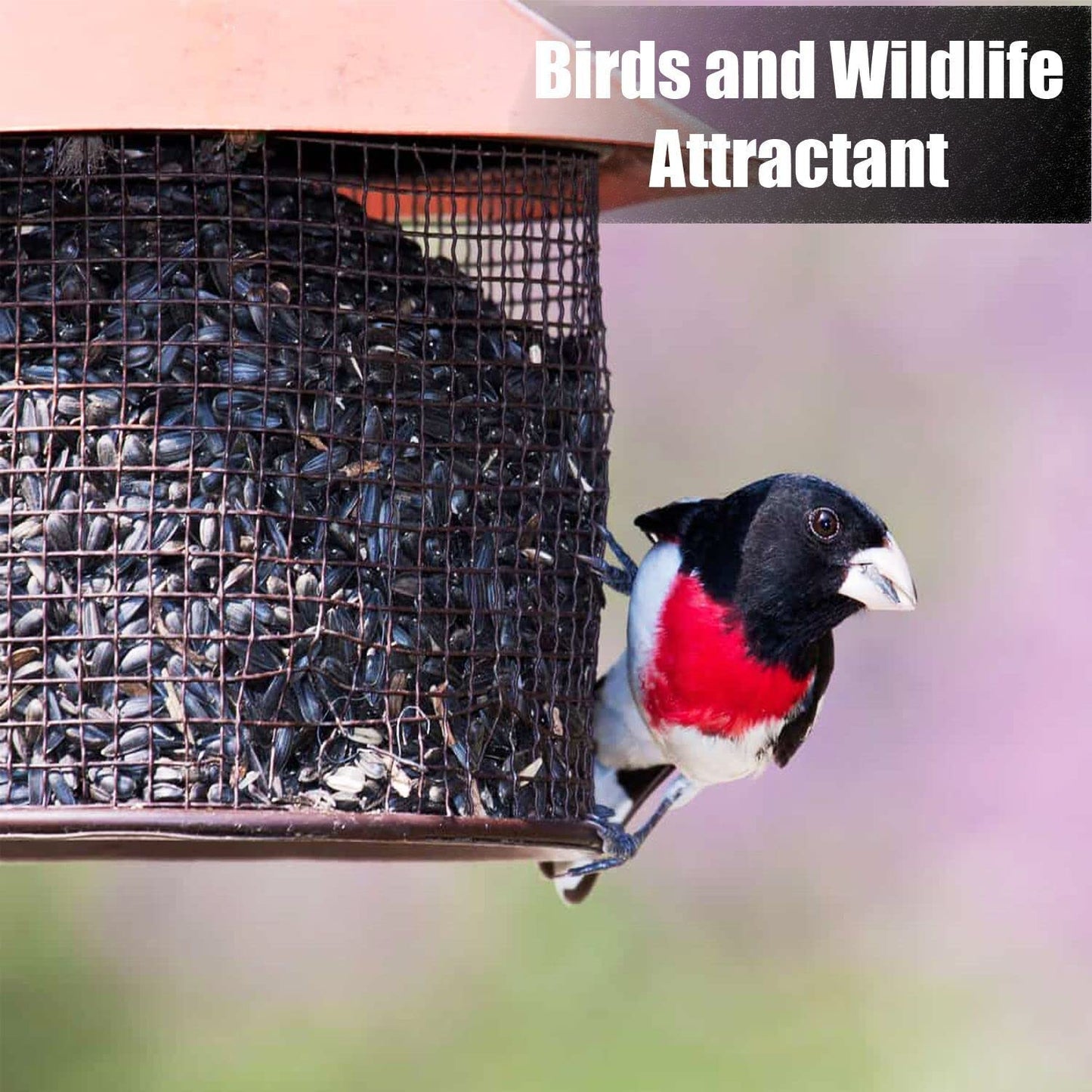 Old Potters Wildlife Black Oil Sunflower Seeds for Birds and Wildlife, Non-GMO & USA Grown on Small Farms (12 lbs)