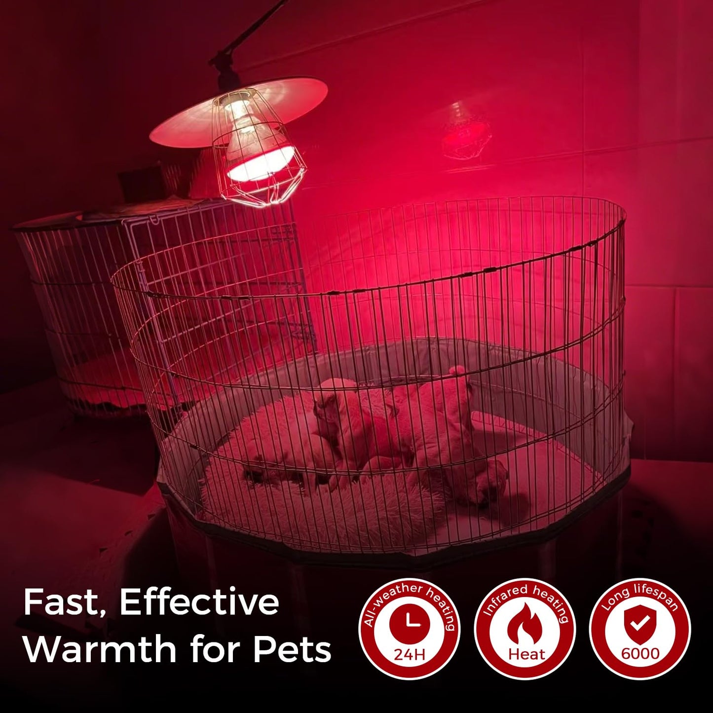 MISDOOD Infrared Heat Lamp 250 Watt 2 Pack, 120v R40 Incandescent Heating Bulbs for Reptiles Chicks Food Puppies Bathroom, E26 Base, Red